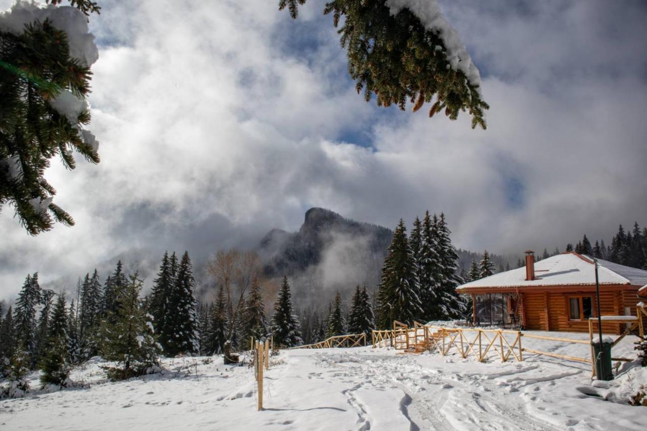 Вила Морава Pamporovo Exterior photo