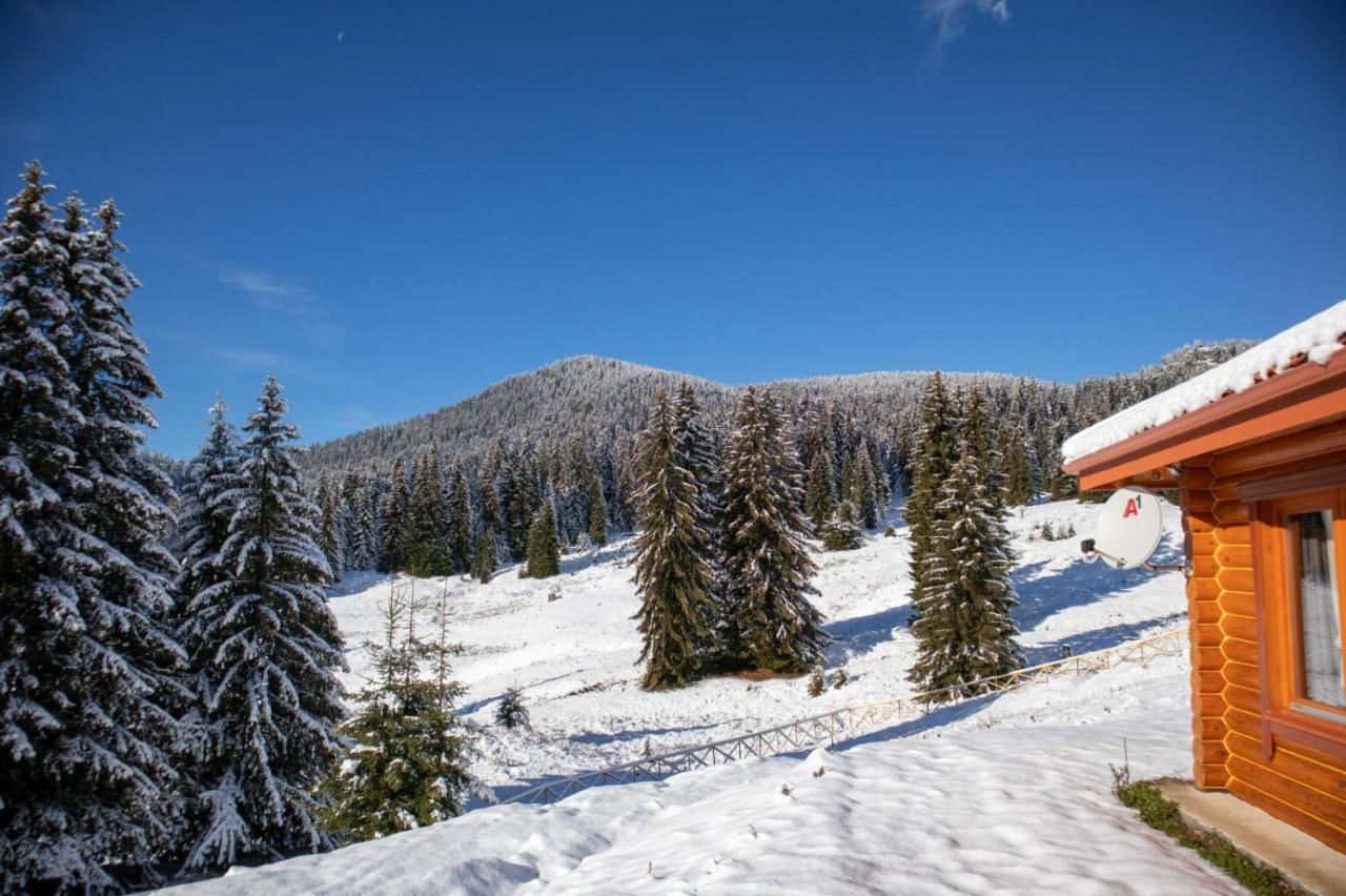 Вила Морава Pamporovo Exterior photo